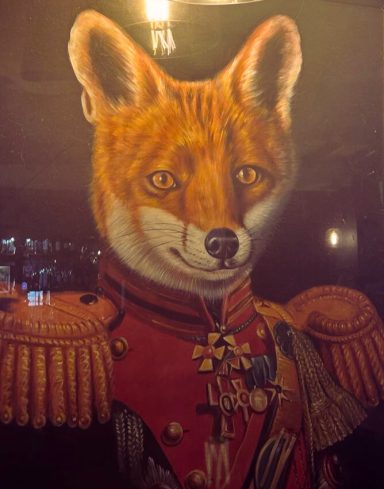 Our Fox